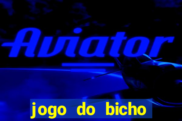 jogo do bicho crash bingo